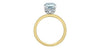 Yellow Gold Lab-Grown Diamond Engagement Ring.
