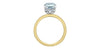 Yellow Gold Lab-Grown Diamond Engagement Ring.