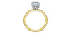 Yellow Gold Lab-Grown Diamond Engagement Ring.