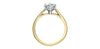 Yellow Gold Lab-Grown Center Diamond With Earth Mined Accent Diamonds Solitaire Engagement Ring.