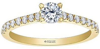 Yellow Gold Canadian Diamond Engagement Ring.