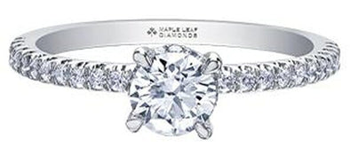 White Gold Canadian Diamond Engagement Ring.