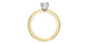 Yellow Gold Canadian Diamond Solitaire Engagement Ring.