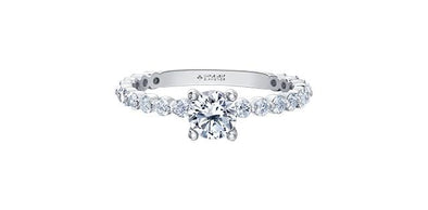 White Gold Canadian Diamond Engagement Ring.