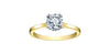 Yellow Gold Canadian Diamond Engagement Ring.