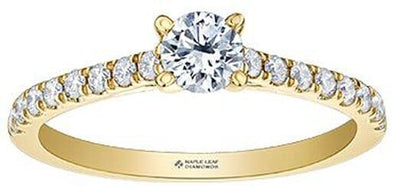 Yellow Gold Canadian Diamond Engagement Ring.