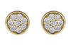 Yellow Gold Diamond Stud Earrings.