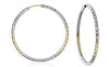 Two Tone D/C 18 mm Sleeper Earrings.
