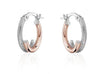 Rose Gold Hoop Earrings.