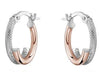 Rose Gold Hoop Earrings.