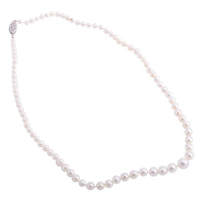 Cultured Akoya Pearl Necklace. 3.0 - 7.0mm Graduated Pearls. Yellow Gold Clasp.