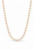 Cultured Akoya Pearl Necklace. 6.0 - 6.5mm Pearls. 18 Inch Knotted Strand. Yellow Gold Filigree Pearl Clasp.