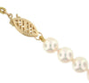Cultured Akoya Pearl Necklace. 6.0 - 6.5mm Pearls. 18 Inch Knotted Strand. Yellow Gold Filigree Pearl Clasp.