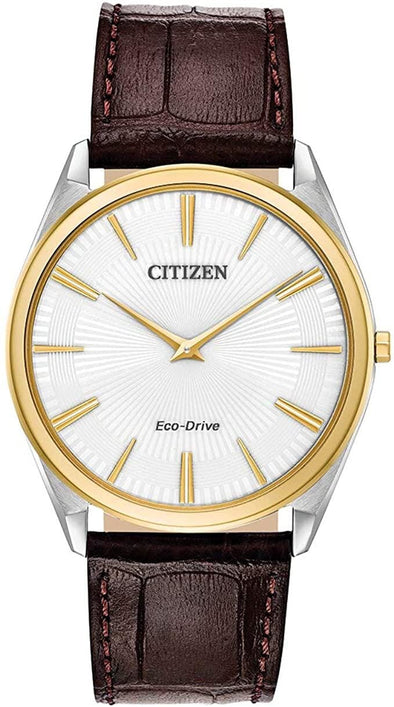 Citizen Gents Two Tone, Leather Strap Sapphire Crystal, 30m 3ATM Water Resistant Eco-Drive Watch -