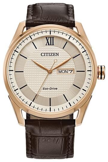 Citizen Gents Rose Gold Tone, Leather Strap Day & Date, 100m 10ATM Water Resistant Eco-Drive Watch -